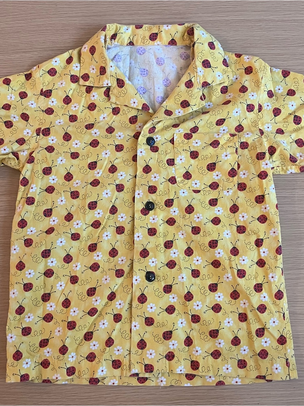 Handmade Cottagecore Nature-Inspired Children’s Buttondown Ladybug Pattern